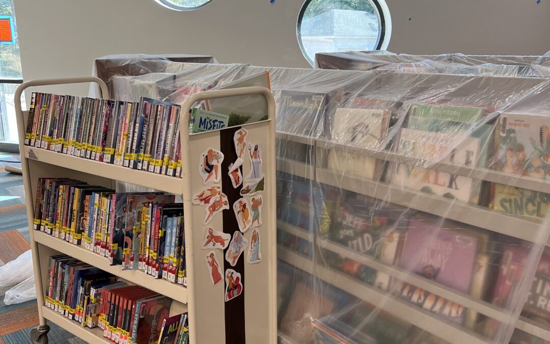 Books in shelves
